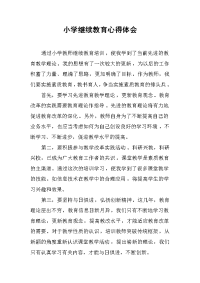 2019小学继续教育心得体会