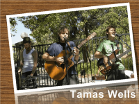 Tamas Wells 英语duty show 英语演讲PPT Valder Fields