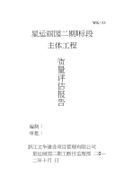 主体质量评估报告(新)