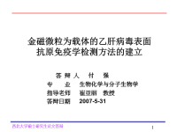 付强-金磁微粒为载体的乙肝病毒表面抗原免疫学检测方法的建立(西北大学硕士学位答辩PPT