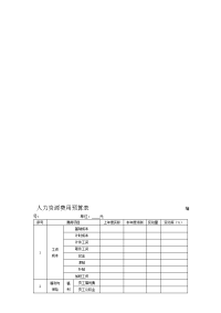 人力资源费用预算表样板