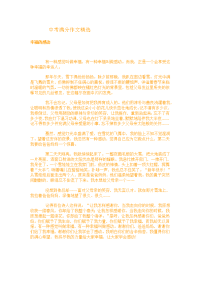中考满分作文精选