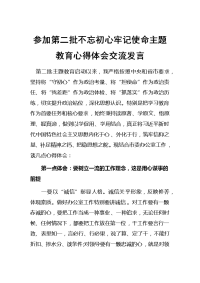 参加第二批不忘初心牢记使命主题教育心得体会交流发言