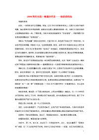 （全国Ⅰ卷）2018高考语文满分作文给弟弟的信