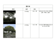 大树花卉报价单 工作表