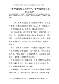 中考满分作文1100字：中考满分作文赏析及点评