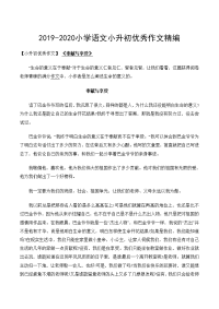 2019-2020小学语文小升初满分作文精选10篇