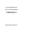 10万吨年环保净水剂建设项目报告书(2)pdf