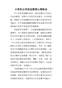 2019小学生公共安全教育心得体会