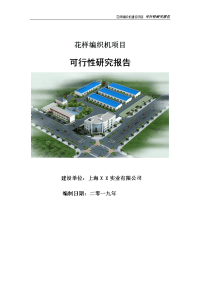 花样编织机项目可行性研究报告【申请定稿】