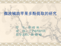 苹果多酚论文答辩PPT