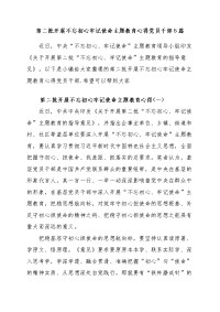 第二批开展守初心担使命主题教育心得党员干部5篇