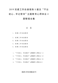 2019党建工作自查报告5篇及“不忘初心、牢记使命”主题教育心得体会4篇整理合集