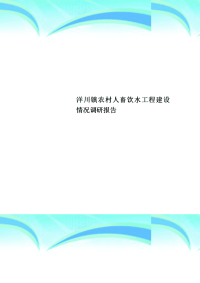 洋川镇农村人畜饮水工程建设情况调研分析报告