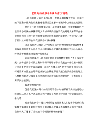 老照片的故事中考满分作文精选