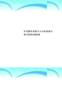 芜湖市直机关小分队招商引资引荐项目情况表