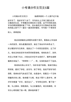 小考满分作文范文5篇