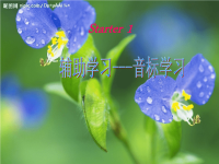 七年级英语英语音标