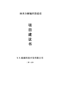 纳米分解编织袋项目建议书-可编辑案例