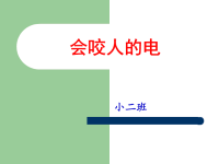 小班安全教案《会咬人的电》