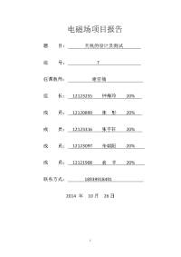 电磁场项目报告