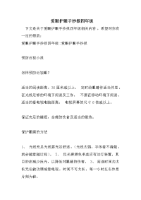 爱眼护眼手抄报四年级
