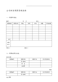 公司财务预算管理表格