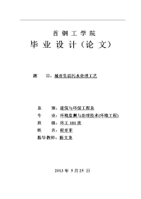 城市生活污水处理工艺毕业论文精选范文