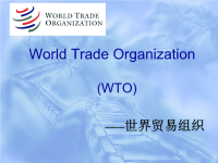 WTO 世界贸易组织 英文PPT.ppt