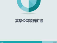 公司项目汇报PPT.ppt