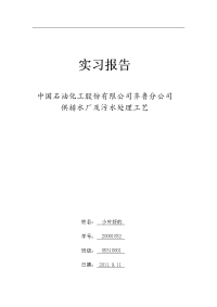 中国石油化工股份有限公司齐鲁分公司供排水厂及污水处理工艺(实习报告).docx