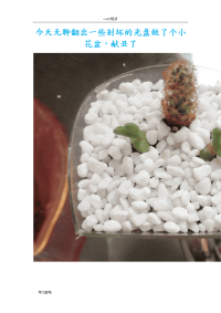 用废旧银行卡巧做挂式花盆_手工小制作dir编织方法.doc
