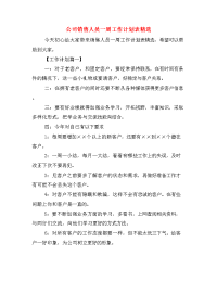 公司销售人员一周工作计划表精选.doc