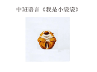 幼儿绘本故事《我是小袋袋》PPT课件.ppt