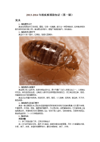 坡头一中2013-2013年度黑板报.doc