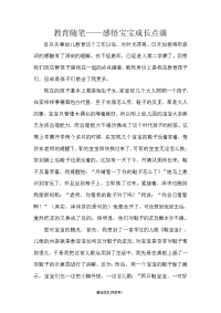 幼儿园小班教师教育随笔(学习故事).doc