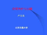 桥梁养护维修.ppt