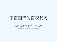 人教版小学数学  十二册《总复习平面图形的面积》课件PPT.ppt