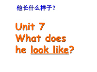 人教版新目标英语 八年级 unit 7 What does he look like课件PPT.ppt