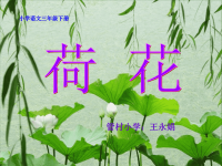 《荷花》课件PPT.ppt