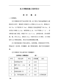 见天坝隧道施工组织设计.doc