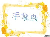 幼儿园中班美术课件ppt_手掌鸟.ppt