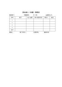 IT行业-资金流入预算表.doc