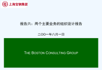 宝钢集团重组项目报告Report06-TwoCoreOrgDesign.ppt