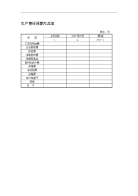 生产费用预算汇总表.doc