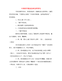 中班科学教案各种各样的鸟.doc