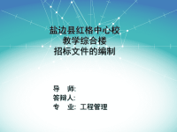 招标文件毕业答辩PPT.ppt