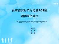 硕士论文答辩PPT0 76 50.ppt