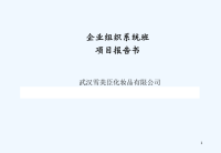 企业组织系统班项目报告书.ppt