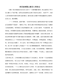 典型案例警示教育心得体会.doc